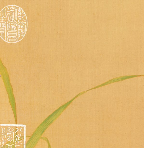 清_郎世宁_花鸟图册_8(图2)