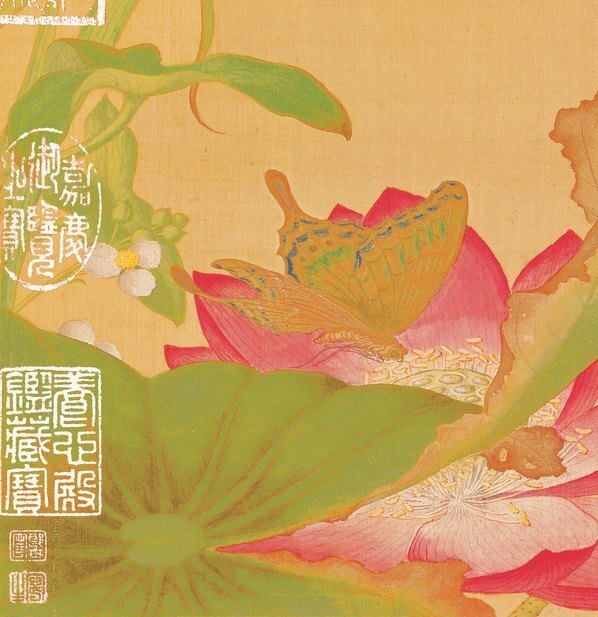清_郎世宁_花鸟图册_8(图4)
