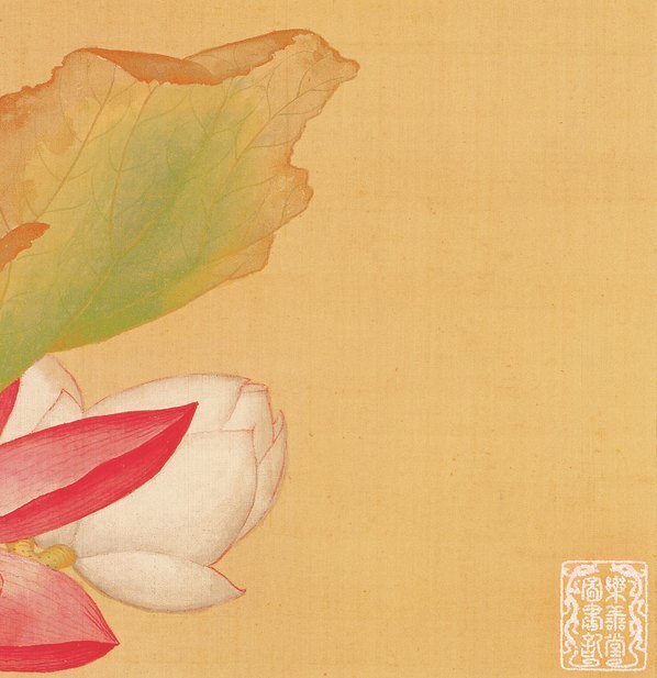 清_郎世宁_花鸟图册_8(图5)