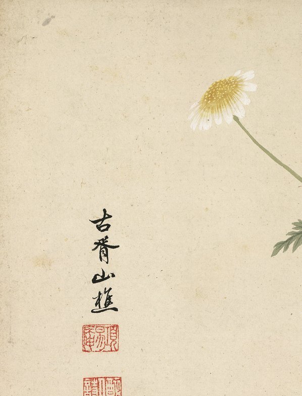 明_项圣漠_花卉_3_(3792×4968 – 350dpi)(图2)