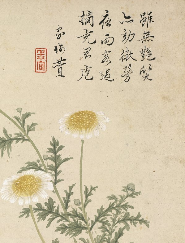 明_项圣漠_花卉_3_(3792×4968 – 350dpi)(图3)