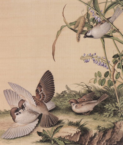 清_郎世宁_仙萼长春图_11_(4469×5259 – 400dpi)(图1)