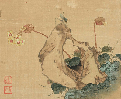 清_居廉_花卉奇石册_十二开_7_(3100×2544 – 300dpi)(图1)