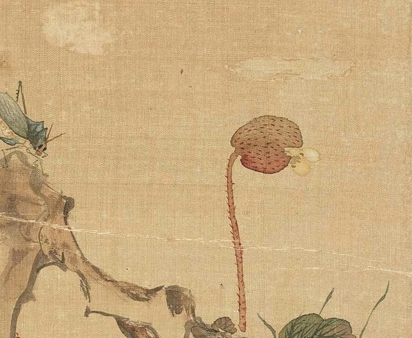 清_居廉_花卉奇石册_十二开_7_(3100×2544 – 300dpi)(图3)