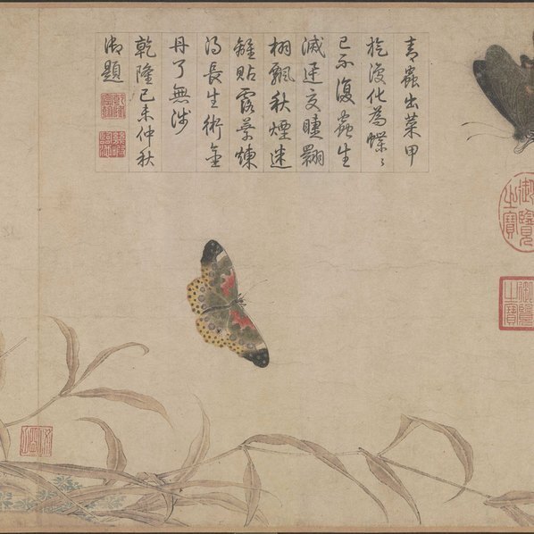 宋_赵昌_写生蛱蝶图卷全卷纸本_北京故宫博物院藏_(28115×3272 – 300dpi)(图4)