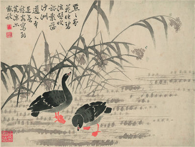 清_边寿民_芦雁图_11_(4875×3694 – 300dpi)(图1)