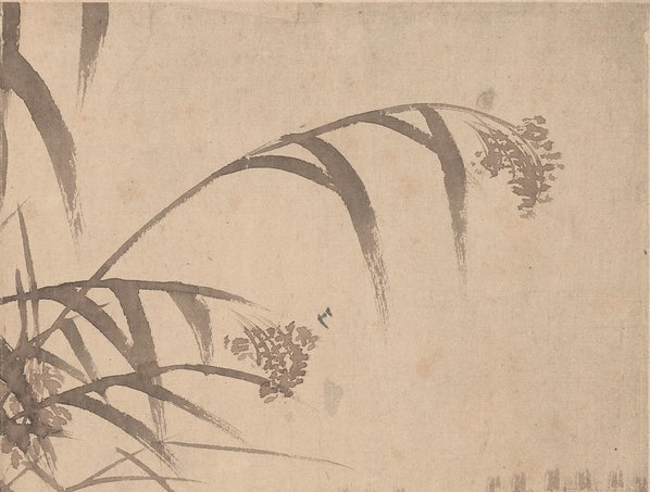 清_边寿民_芦雁图_11_(4875×3694 – 300dpi)(图3)