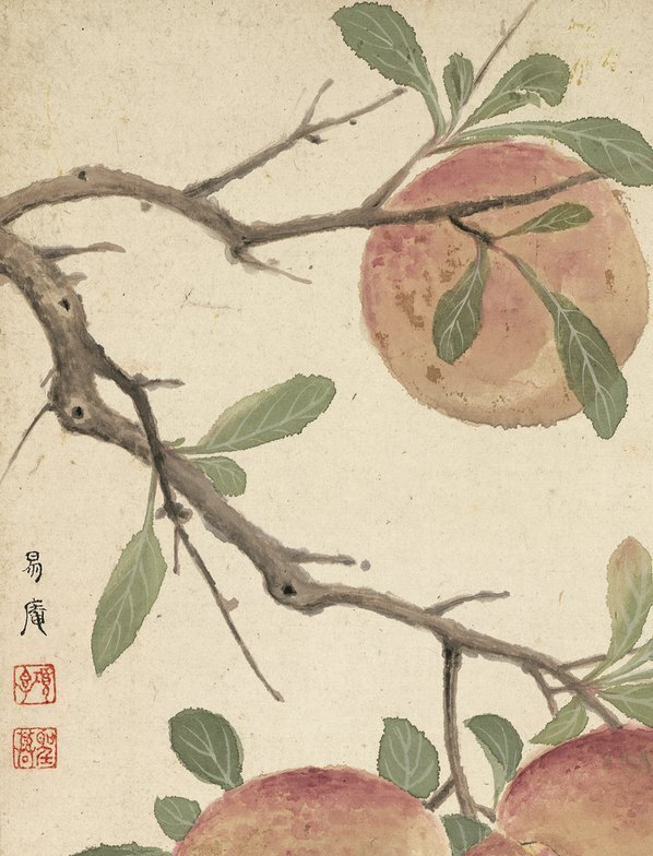 明_项圣漠_花卉_7_(3792×4975 – 350dpi)(图2)