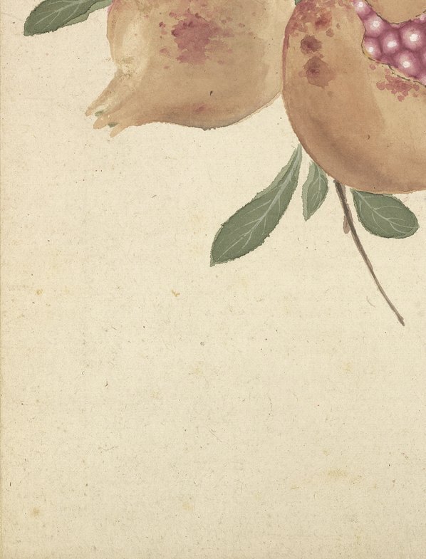 明_项圣漠_花卉_7_(3792×4975 – 350dpi)(图4)