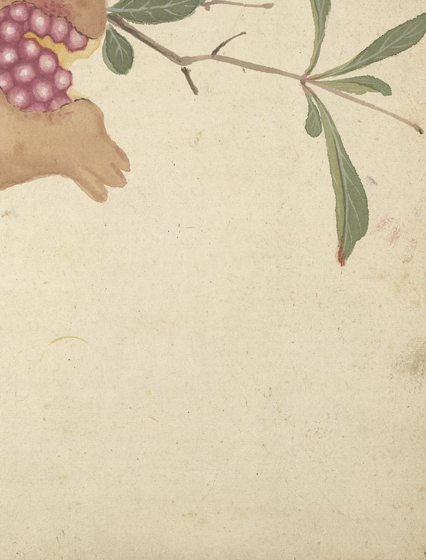 明_项圣漠_花卉_7_(3792×4975 – 350dpi)(图5)