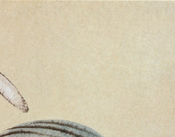 清_金农_花卉册_9_(3577×2805 – 295dpi)(图3)