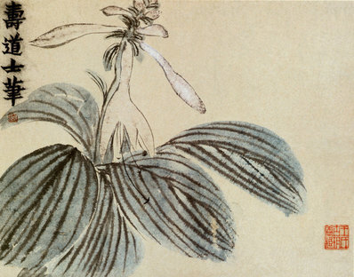清_金农_花卉册_9_(3577×2805 – 295dpi)(图1)