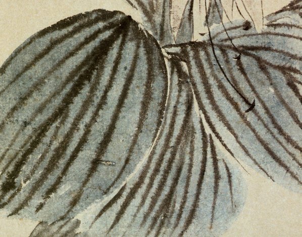 清_金农_花卉册_9_(3577×2805 – 295dpi)(图4)