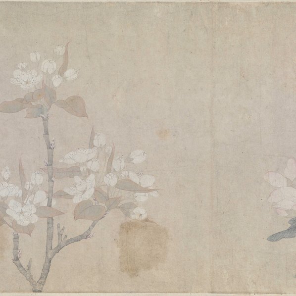 元_钱选_八花图卷_纸本_(96184×7002 – 400dpi)(图5)