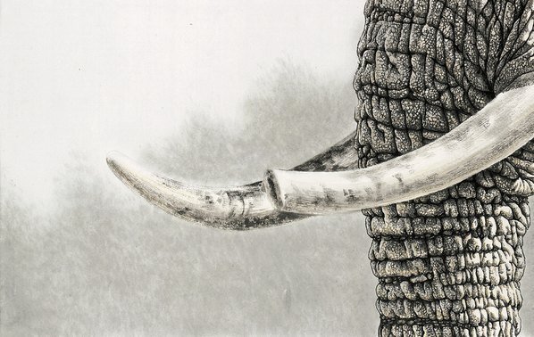 近代_唐坚_非洲象_ca_(6321×4000 – 72dpi)(图4)