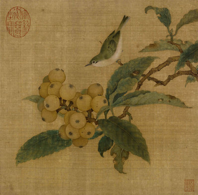 宋_林椿_枇杷山鸟图绢本_(5154×5082 – 300dpi)(图1)