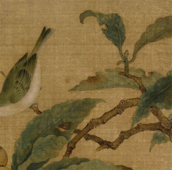宋_林椿_枇杷山鸟图绢本_(5154×5082 – 300dpi)(图3)