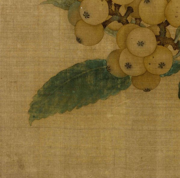 宋_林椿_枇杷山鸟图绢本_(5154×5082 – 300dpi)(图4)