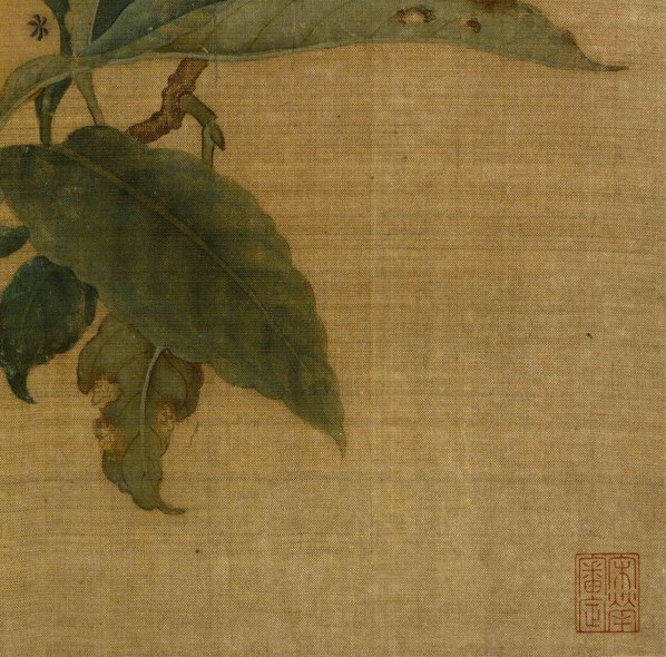 宋_林椿_枇杷山鸟图绢本_(5154×5082 – 300dpi)(图5)