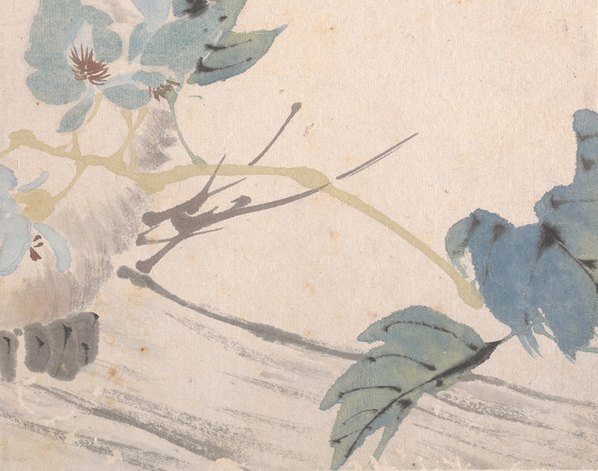 清_任颐_花鸟蔬果册页_八开_4_(4500×3545 – 300dpi)(图5)