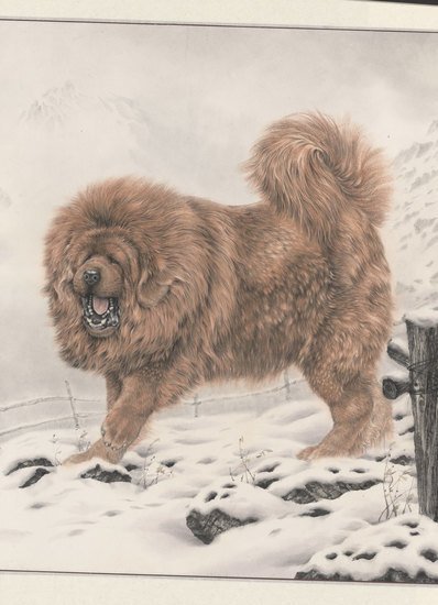 近代_唐坚_藏獒之十_11_(11904×16448 – 72dpi)(图1)