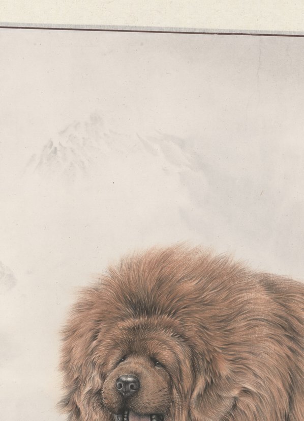 近代_唐坚_藏獒之十_11_(11904×16448 – 72dpi)(图2)
