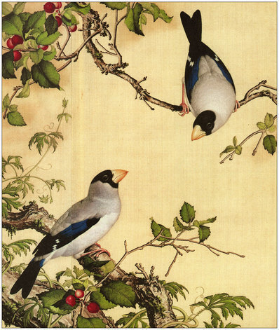 清_郎世宁_仙萼长春图_(4488×5315 – 300dpi)(图1)