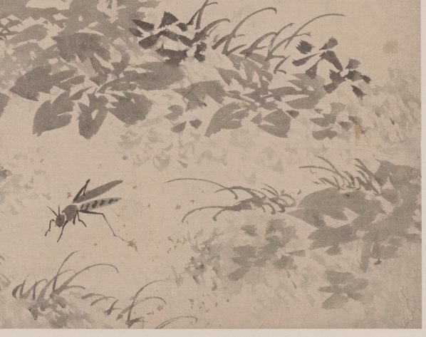 明_杜大成_花蝶草虫纸本_8_(4992×3948 – 360dpi)(图5)