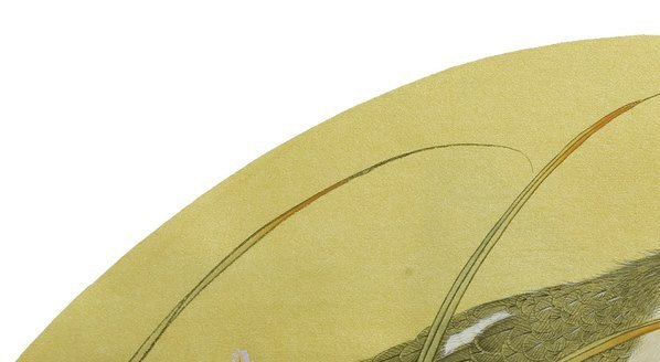 近代_郑路迅_泥金扇面_啼_(5686×3119 – 72dpi)(图2)