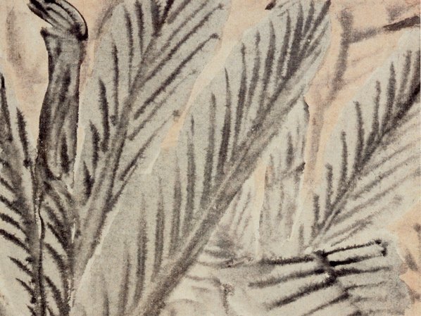 清_金农_花卉册_7_(3728×2800 – 295dpi)(图3)
