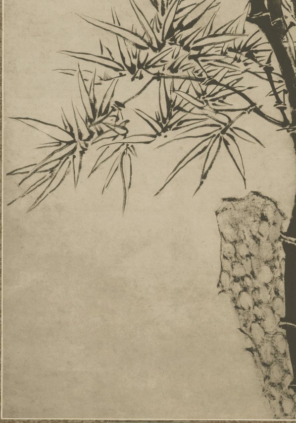 清_佚名_竹石图_纸本_(6076×8668 – 400dpi)(图4)