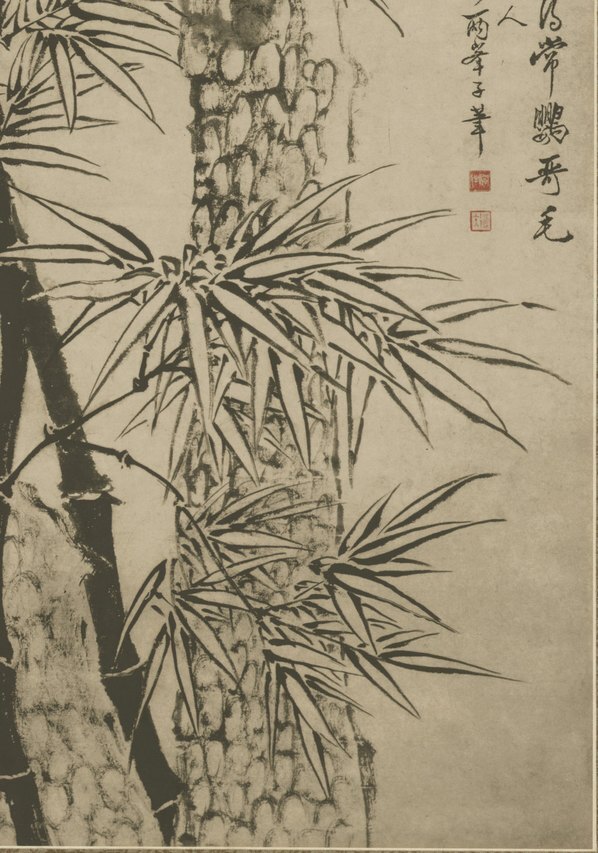 清_佚名_竹石图_纸本_(6076×8668 – 400dpi)(图5)