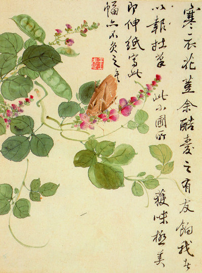 清_王武_花卉册_11_(2568×3480 – 400dpi)(图1)