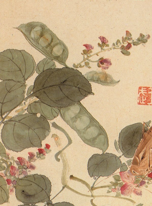 清_王武_花卉册_11_(2568×3480 – 400dpi)(图2)