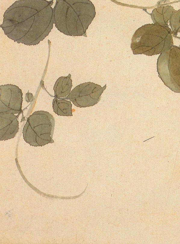 清_王武_花卉册_11_(2568×3480 – 400dpi)(图4)