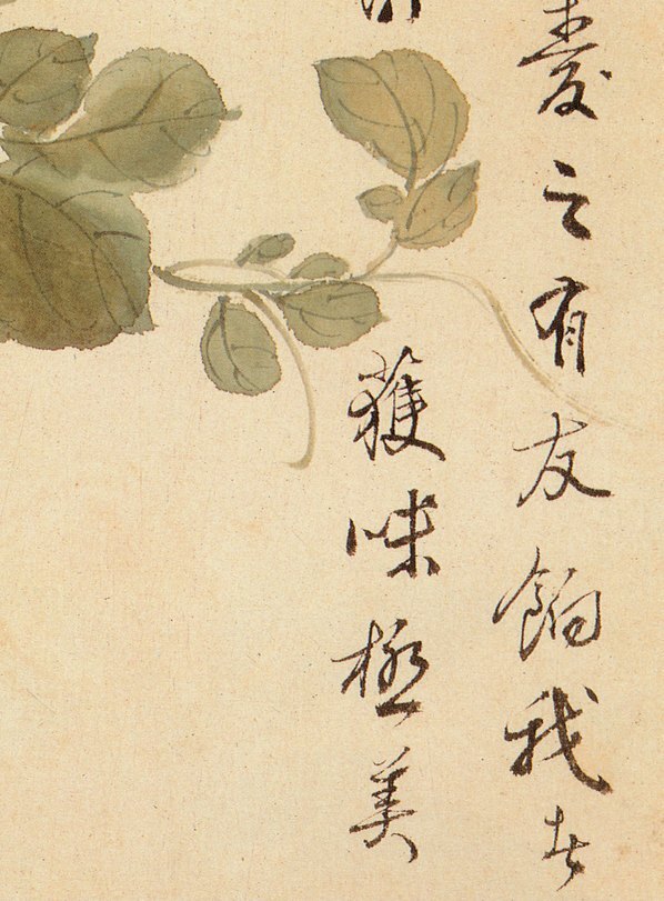 清_王武_花卉册_11_(2568×3480 – 400dpi)(图5)