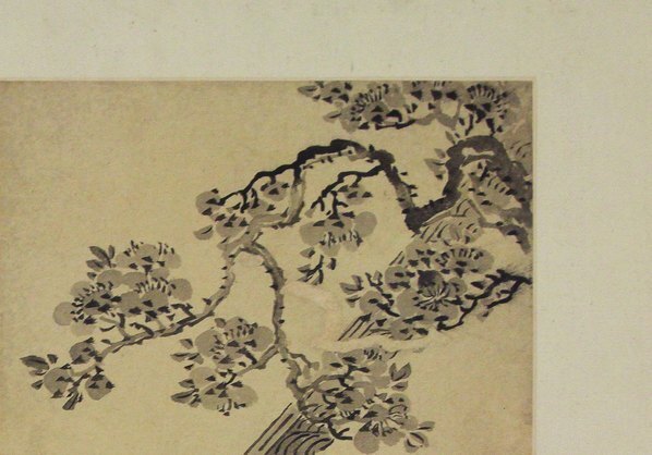 清_金农_花卉图册_浙江省博物馆_(4294×3000 – 300dpi)(图3)
