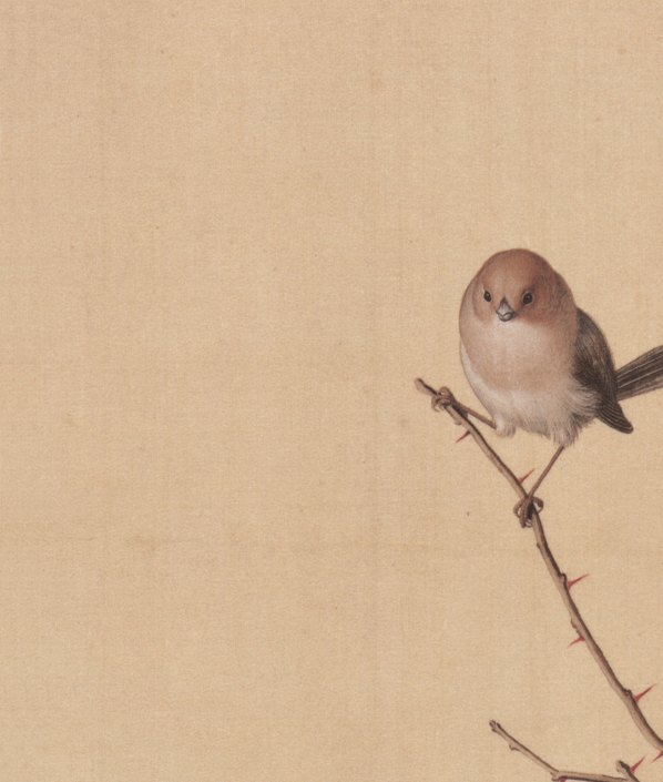 清_郎世宁_仙萼长春图_17_(6357×7496 – 400dpi)(图2)