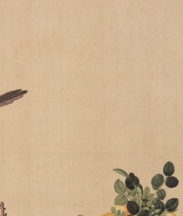 清_郎世宁_仙萼长春图_17_(6357×7496 – 400dpi)(图3)