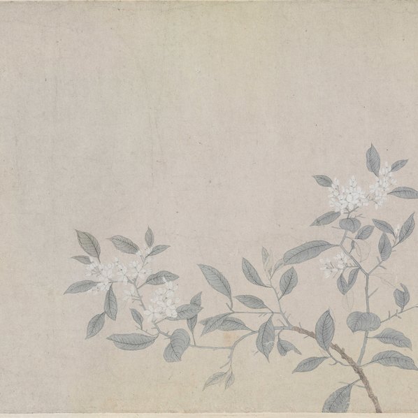 元_钱选_八花图卷全卷_(95970×7002 – 300dpi)(图3)