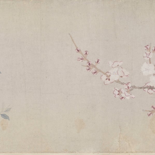 元_钱选_八花图卷全卷_(95970×7002 – 300dpi)(图4)