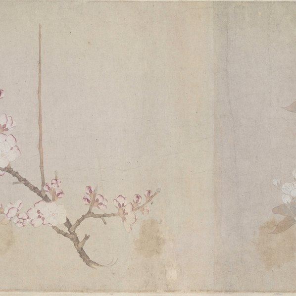 元_钱选_八花图卷全卷_(95970×7002 – 300dpi)(图5)
