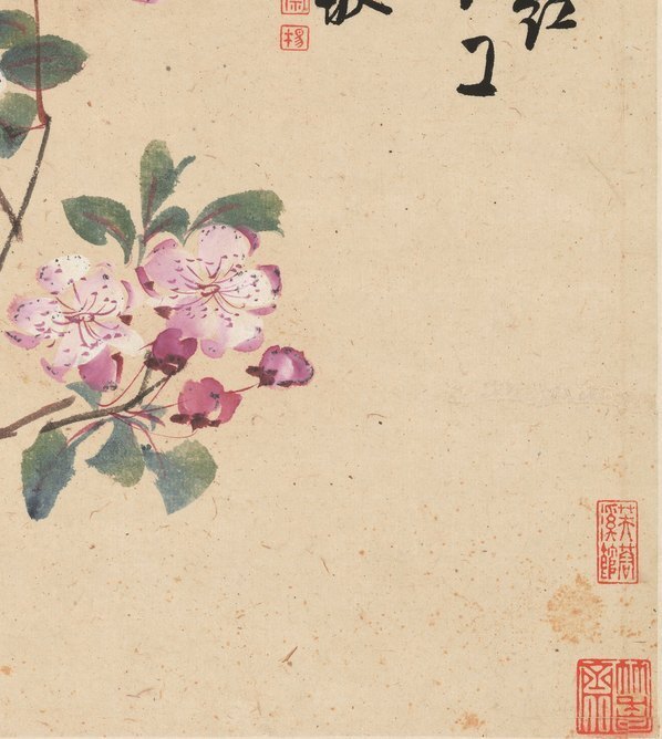 清_李鱓_花卉十二开_11_(3906×4362 – 300dpi)(图5)