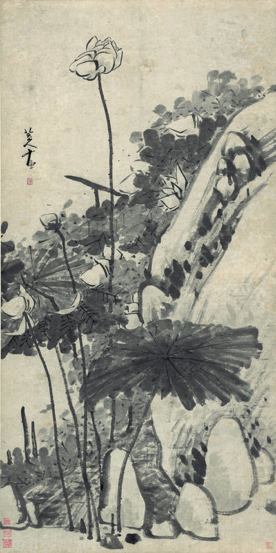 明_朱耷_墨荷图_纸_(10839×21720 – 300dpi)(图1)