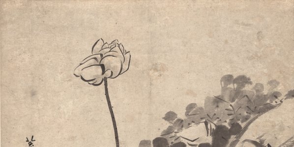 明_朱耷_墨荷图_纸_(10839×21720 – 300dpi)(图2)