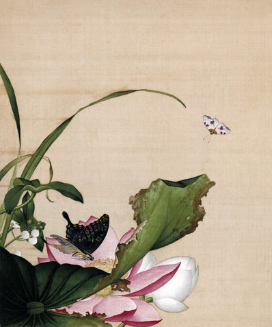 清_郎世宁_仙萼长春图最佳版_荷花慈姑花_(4611×5529 – 298dpi)(图1)