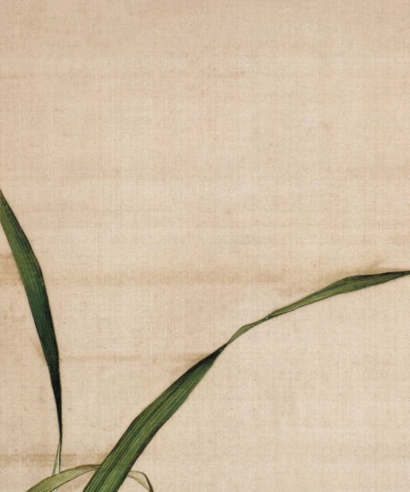 清_郎世宁_仙萼长春图最佳版_荷花慈姑花_(4611×5529 – 298dpi)(图2)