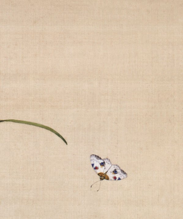 清_郎世宁_仙萼长春图最佳版_荷花慈姑花_(4611×5529 – 298dpi)(图3)
