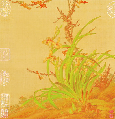 清_郎世宁_花鸟图册_14(图1)
