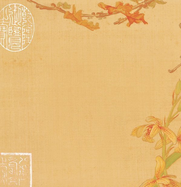 清_郎世宁_花鸟图册_14(图2)